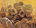 Sticks and Stones